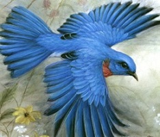bluebird2